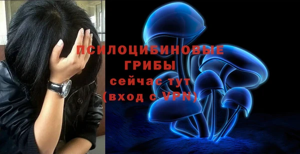 тгк Покровск