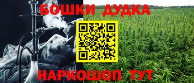 стаф Заволжье