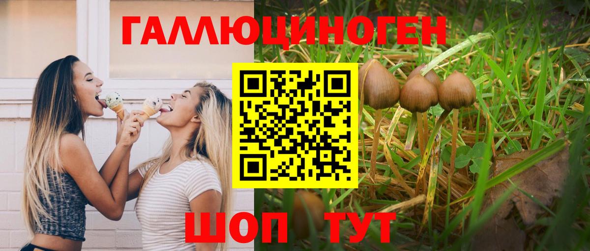 Галлюциногенные грибы Psilocybine cubensis Красный Сулин
