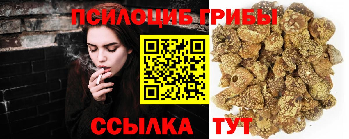 Галлюциногенные грибы ЛСД  купить  сайты  Псилоцибиновые грибы Psilocybine cubensis  Красный Сулин  Вход с VPN 
